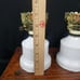 Pair Hobnail White Glass Lamps Neutral Bedroom Nightstand Lighting Decor
