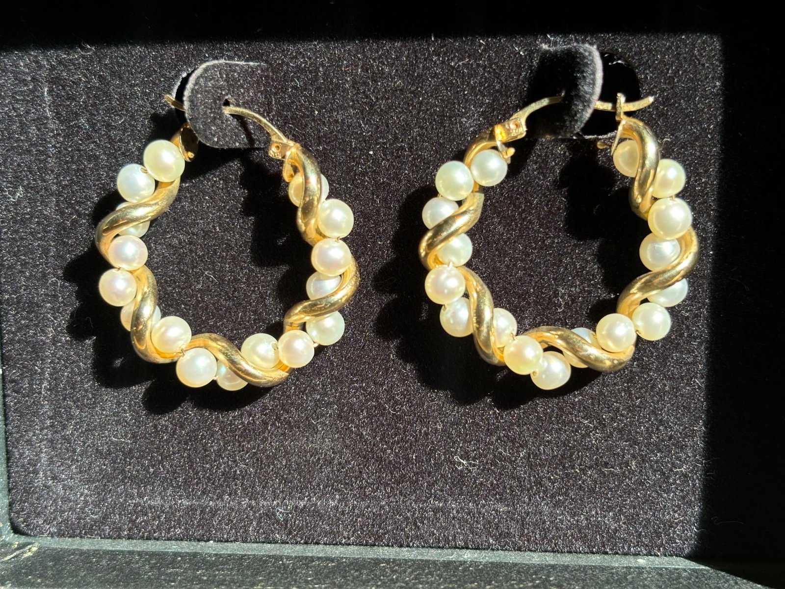 Earrings