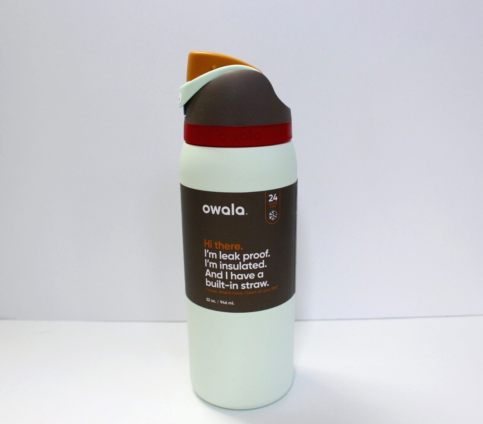 Owala FreeSip Boneyard Stainless Steel Water Bottle 32 oz
