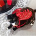 2 Pet Halloween Costumes & Toy