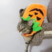2 Pet Halloween Costumes & Toy