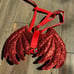 2 Pet Halloween Costumes & Toy