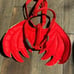 2 Pet Halloween Costumes & Toy