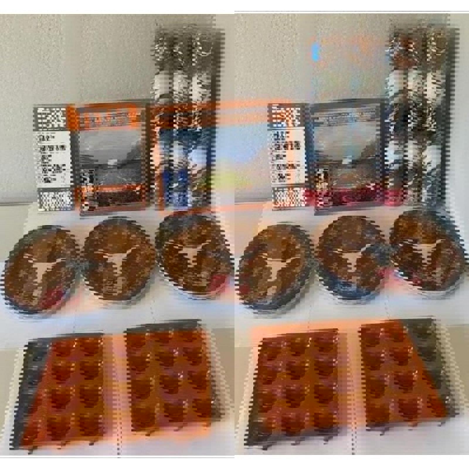 Texas Longhorns Lot: Royal Stadium Puzzle Plates Christmas Ornaments Book