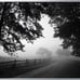 IKEA BJORKSTA Misty Country Road 78 ¾ x 55 (Frame Not Included) 305.004.83