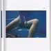 Franco Fontana's Photography Art BLUE
