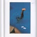 Franco Fontana's Photography Art BLUE