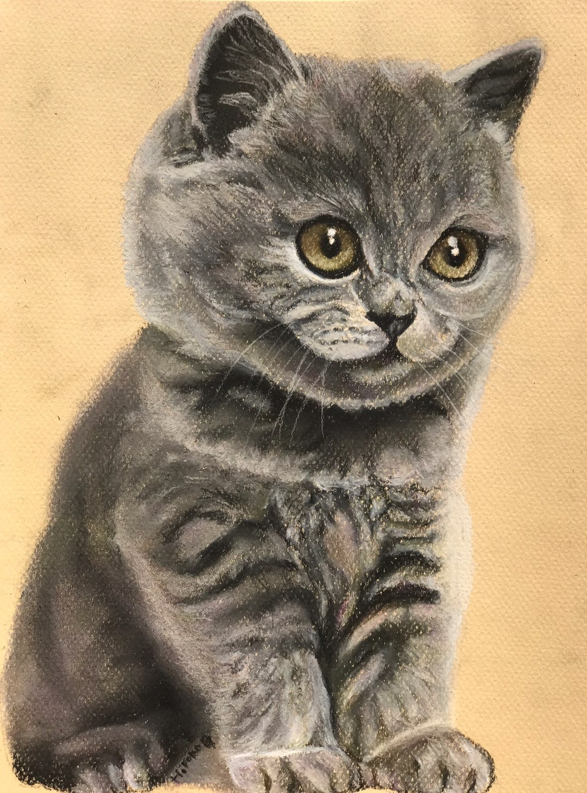 Original pastel drawing of a kitten