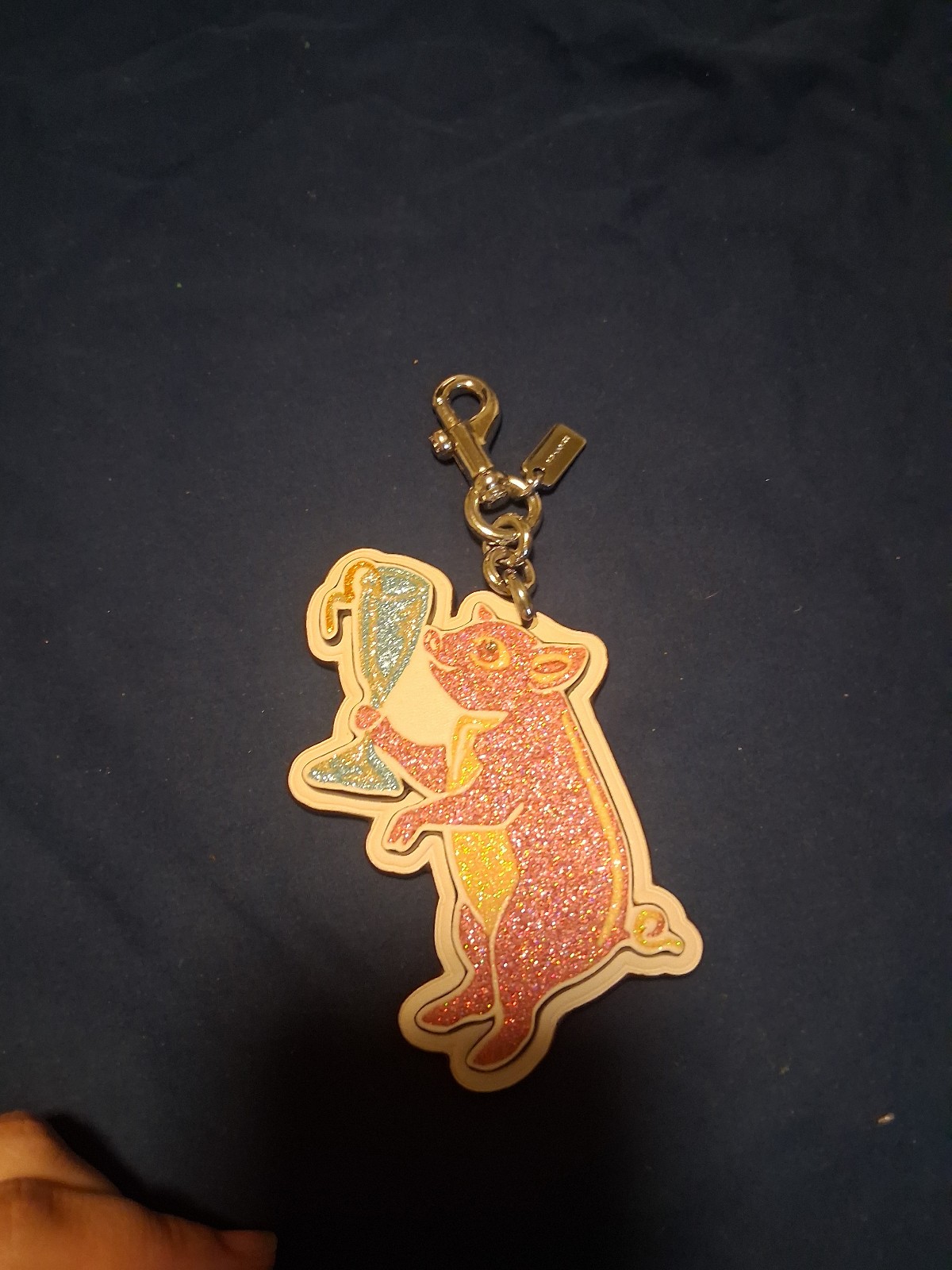 Coach Party Pig Charm