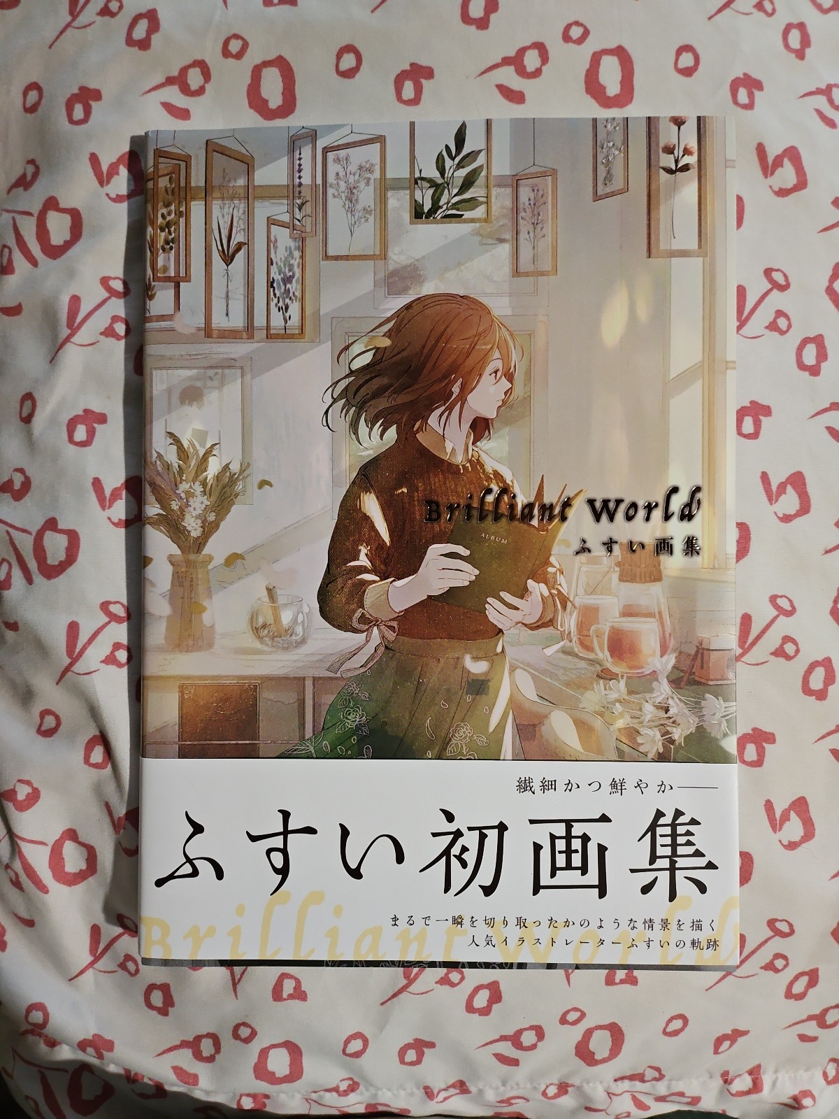 Brilliant World Artbook by Fusui
