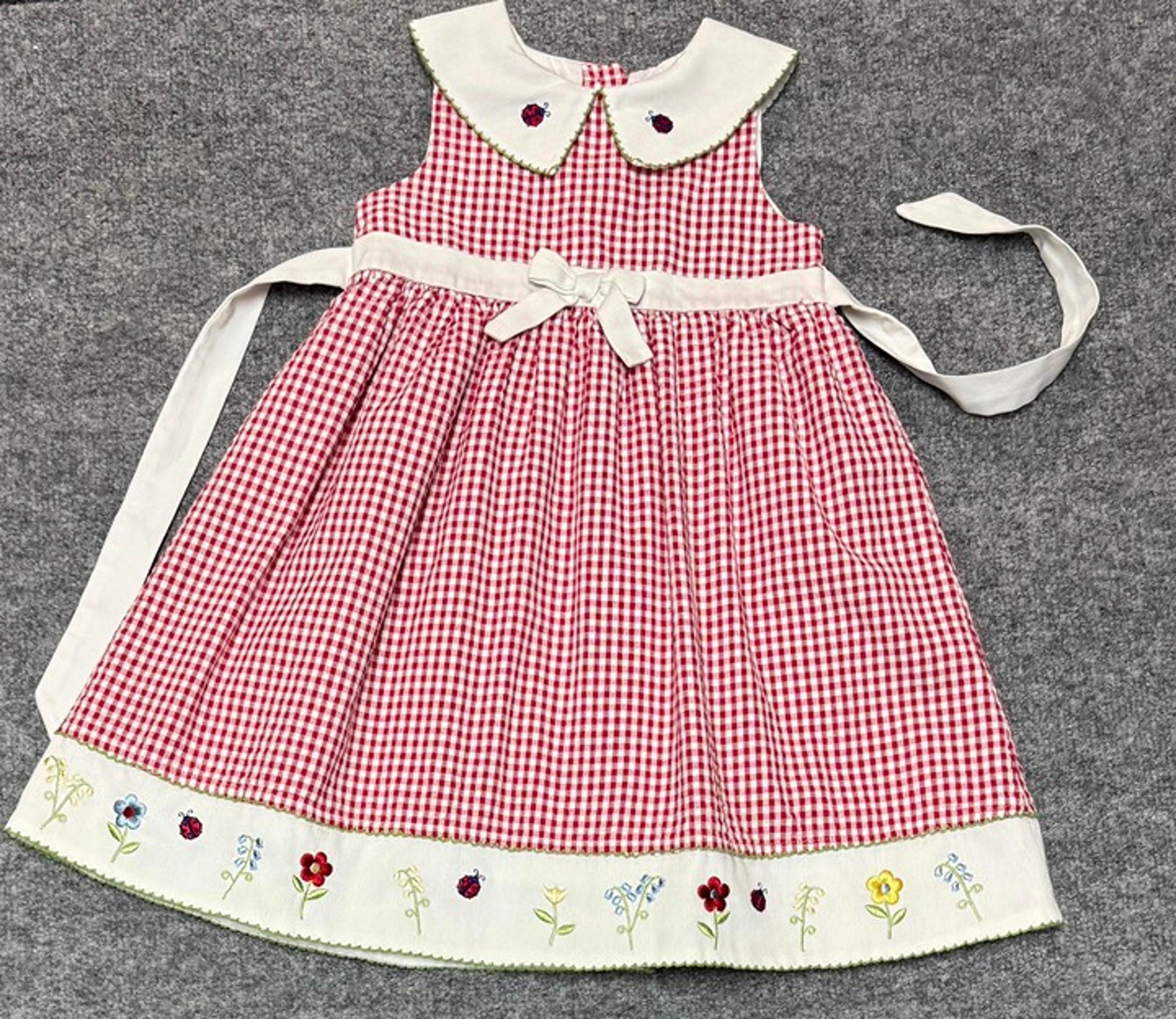 Vintage BT Kids Size 3 Ladybug Dress Fully Lined VGUC
