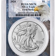 2024 1oz American Eagle PCGS MS70 - First Strike - Eagle Picture Frame