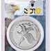 2024 1oz American Eagle PCGS MS70 - First Strike - Eagle Picture Frame
