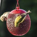 2-EnDarius-Set of 4 Squirrel Proof Bird Feeders for Outside