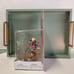 Amiibo Shulk