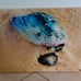 AlexS Original canvas print 18x24