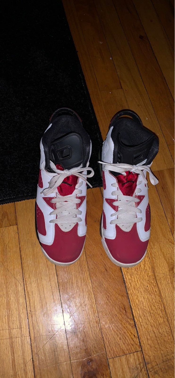 Jordan retro 6
