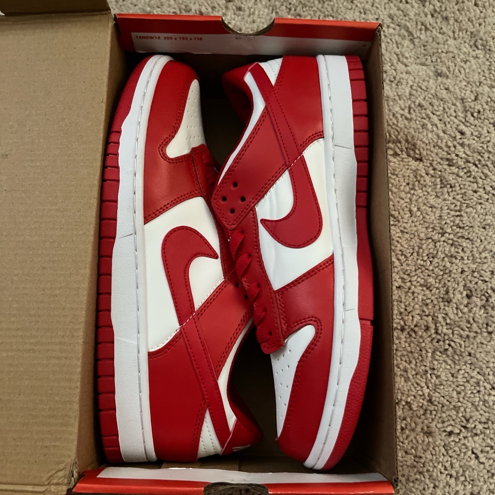 Nike dunks