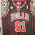 Dennis Rodman Chicago Bulls Pinstripe Nwt Mens Medium Stitched Jersey