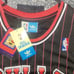 Dennis Rodman Chicago Bulls Pinstripe Nwt Mens Medium Stitched Jersey