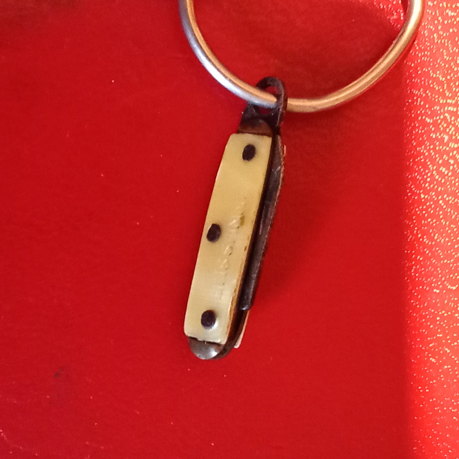 Fingernail cleaner