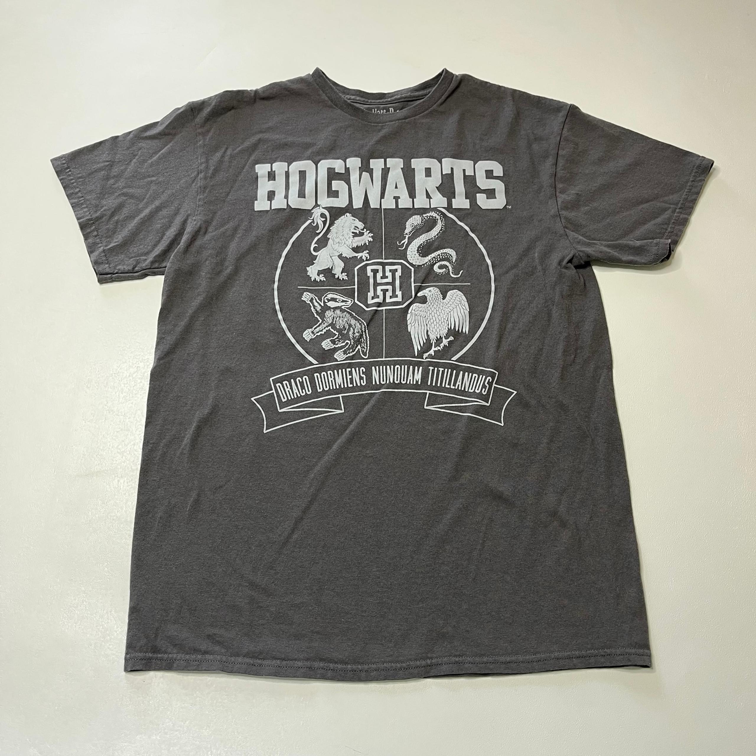 Wizarding World Of Harry Potter Hogwarts Graphic  T Shirt Mens M