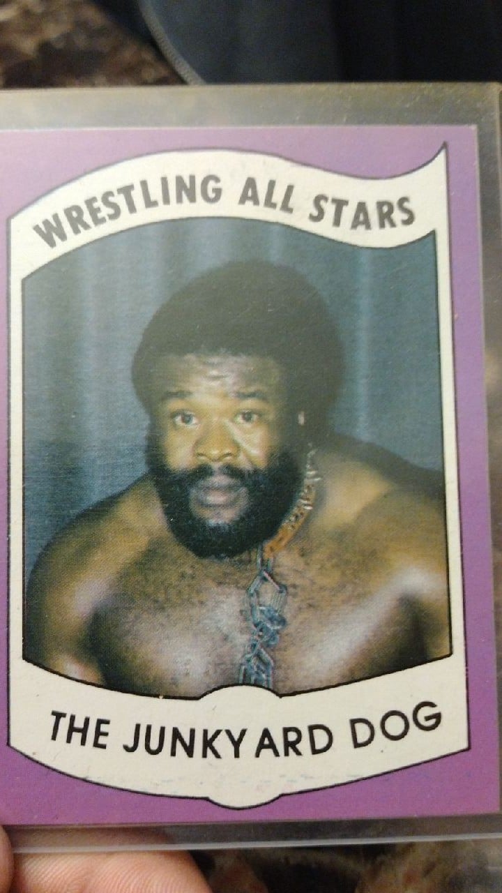 Wwe wrestling all stars the junkyard dog