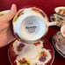 vintage rare elizabethan english fine bone china wide rim cup and saucer