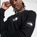 Overseas Exclusive New THE NORTH FACE Black Box Sweatshirt