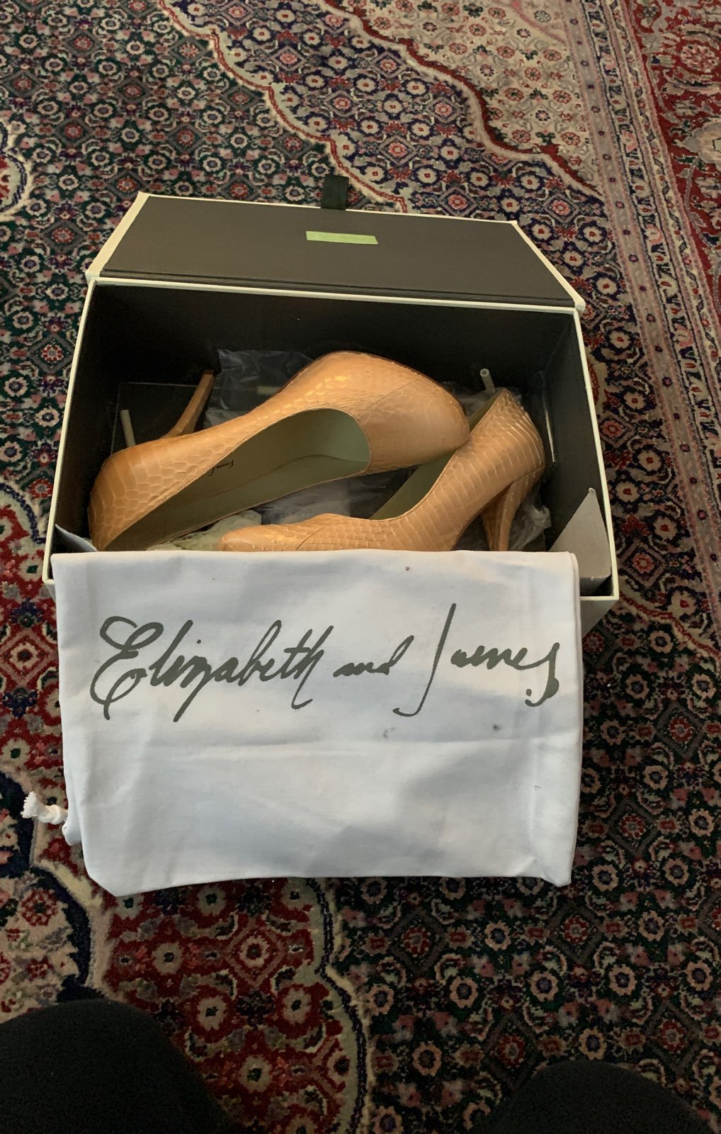 New in the box authentic whipsnake pumps