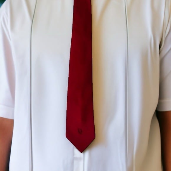 Vintage Tie Christian Dior Logo Qiana Necktie Red Satin Dress Shirt Tie