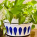 Cathrineholm of Norway Lotus Blue White Enamel Pot
