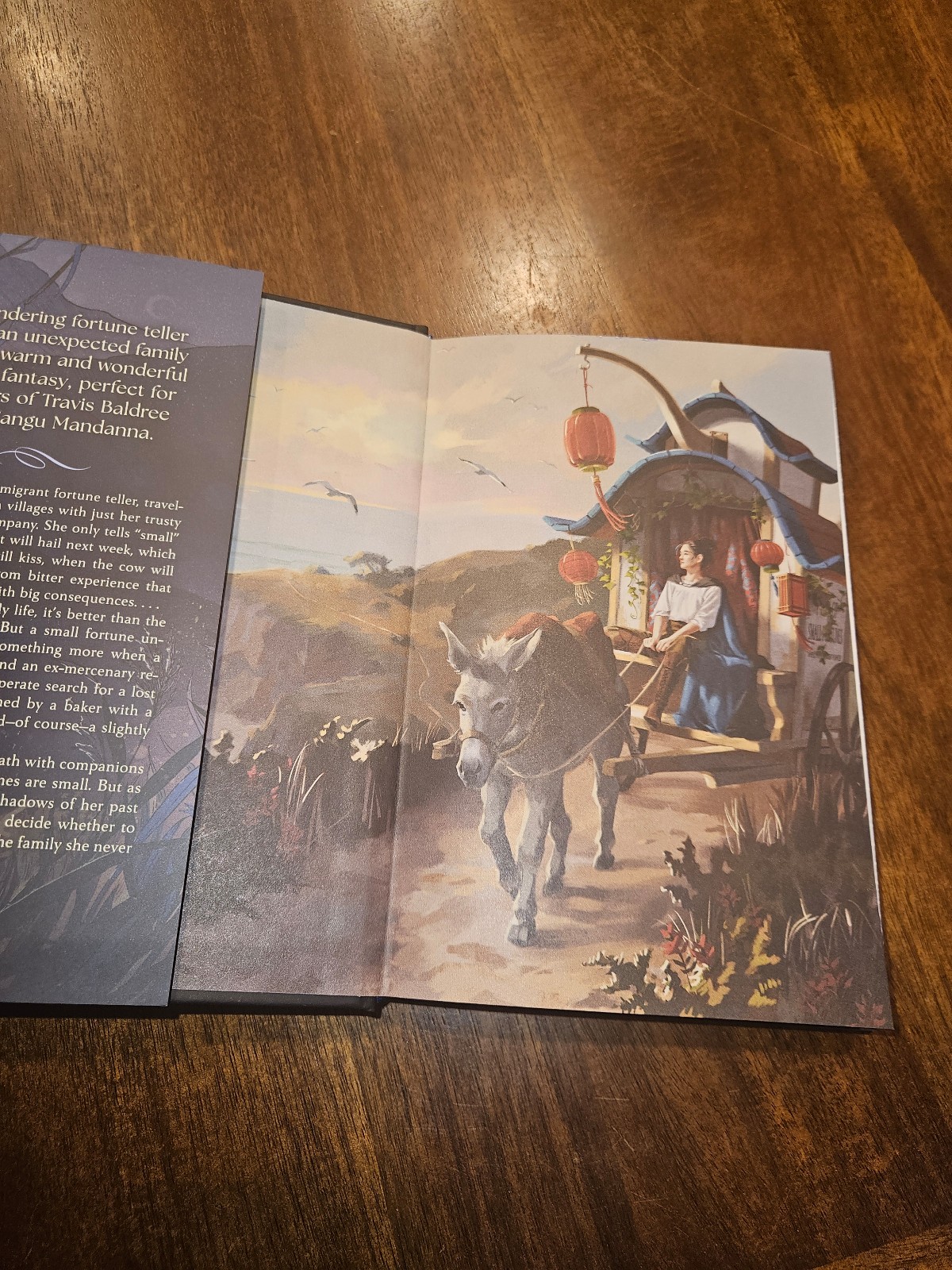SIGNED Owlcrate The Teller of Small Fortunes by Julie Leong - detail