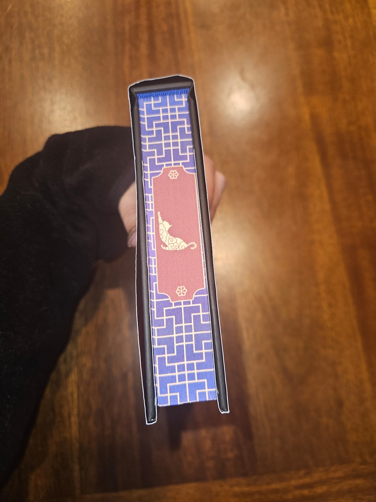 SIGNED Owlcrate The Teller of Small Fortunes by Julie Leong - detail