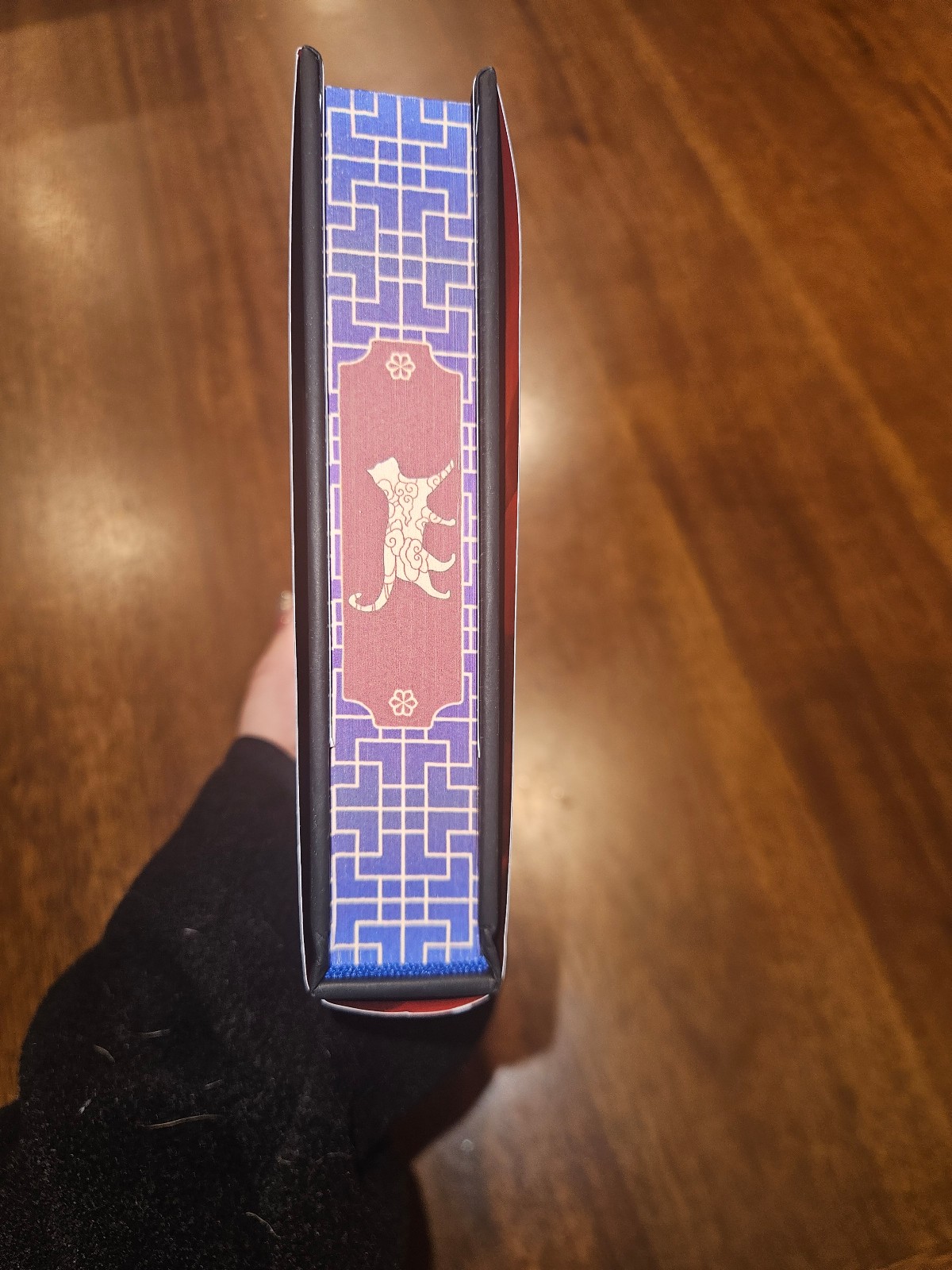 SIGNED Owlcrate The Teller of Small Fortunes by Julie Leong - detail