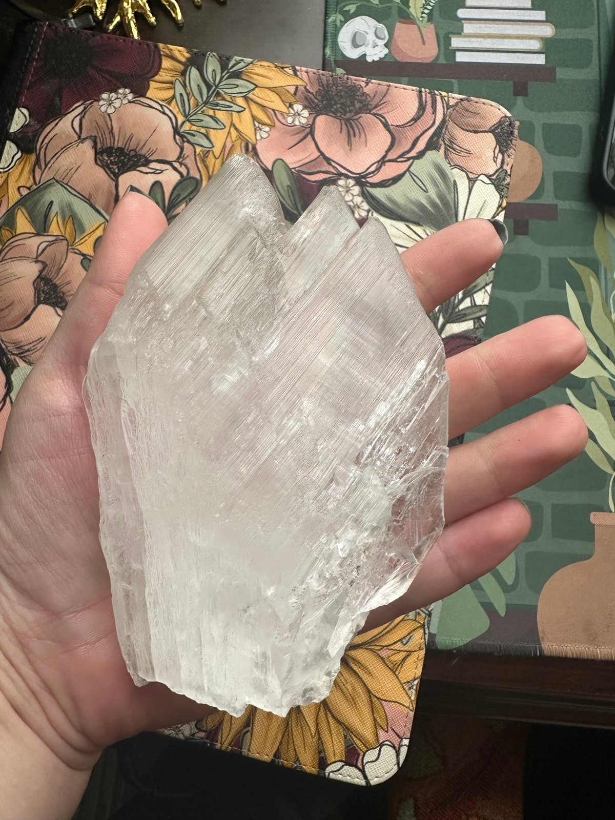 Naica Selenite with Enhydros