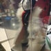 Disney Villains Designer collector edition Cruella NIB