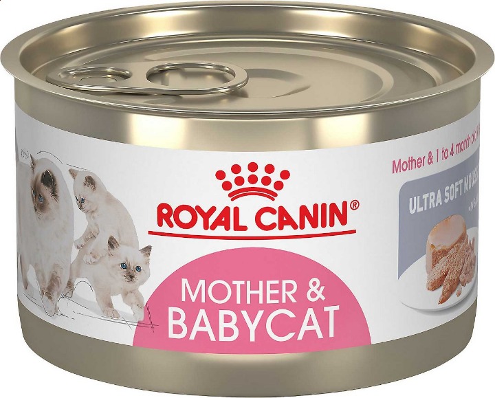 Royal Canin Mother & Babycat Ultra-Soft Mousse in Sauce Wet Cat Food for New Ki
