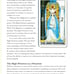 STEVEN BRIGHT IN FOCUS TAROT YOUR PERSONAL GUIDE BOOK EXPLAINING TAROT CARDS