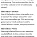 STEVEN BRIGHT IN FOCUS TAROT YOUR PERSONAL GUIDE BOOK EXPLAINING TAROT CARDS