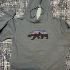 Patagonia hoodie