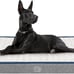 Dog Bed for Crate Water-RepellentPad Reversible Cool and Warm