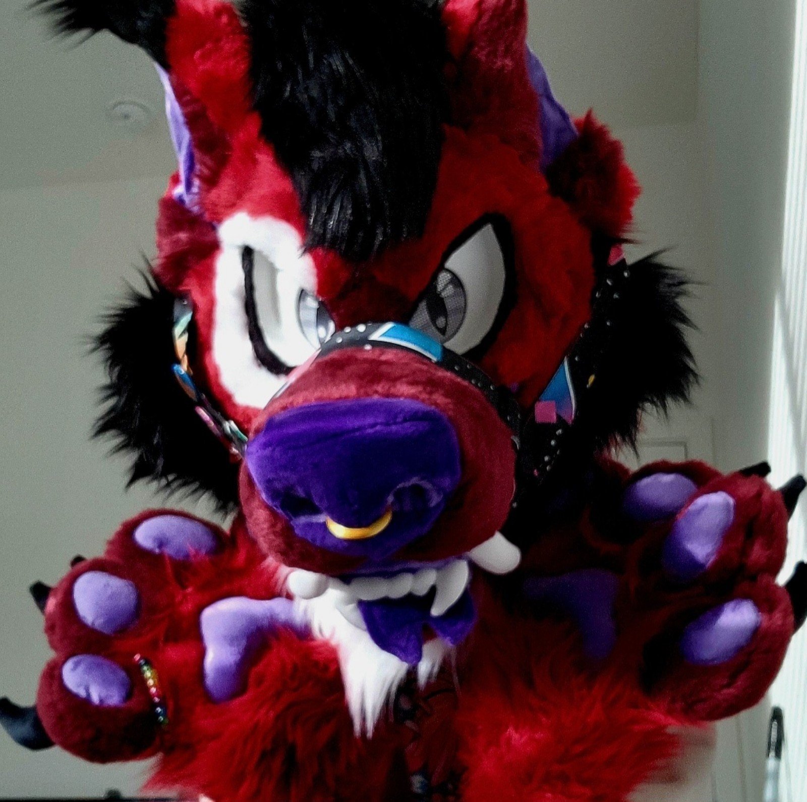 Fursuit Maned Wolf Full Partial