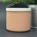 BBW Sweet Orange & Agave White Barn Bath & Body Works 3 Wick Candle