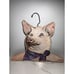 VTG Wooden Clothes Hanger By Annie Phinehart Pig