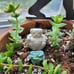 Garden Decoration: Zen PUG Dog Buddha Garden Art Statue Sculpture