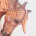 Breyer OT Sara Moniet
