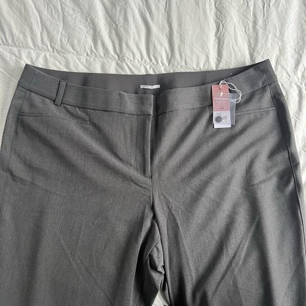 Lane Bryant the Allie 24r dark gray charcoal tailored stretch pants straight leg