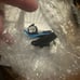 FITCAMX Dash Cam for 2022-2025 Honda Civic