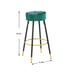 Counter Height Bar Stools Set of 2, Velvet Kitchen StoolsUpholstered 24 Inches